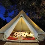 Cocoon Tent In An Olive Grove