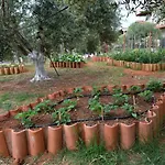 Cocoon Tent In An Olive Grove * マラトポリス