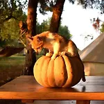 Cocoon Tent In An Olive Grove 別荘