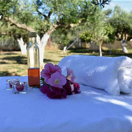 Cocoon Tent In An Olive Grove マラトポリス