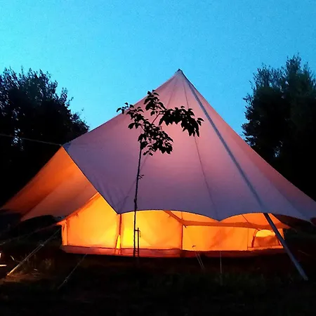 Cocoon Tent In An Olive Grove *