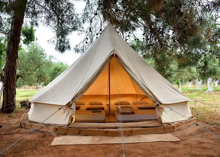 Cocoon Tent In An Olive Grove * Marathopoli