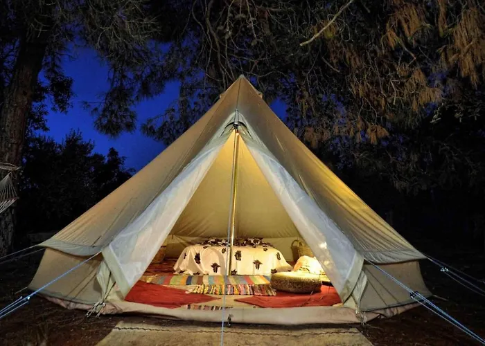 Cocoon Tent In An Olive Grove