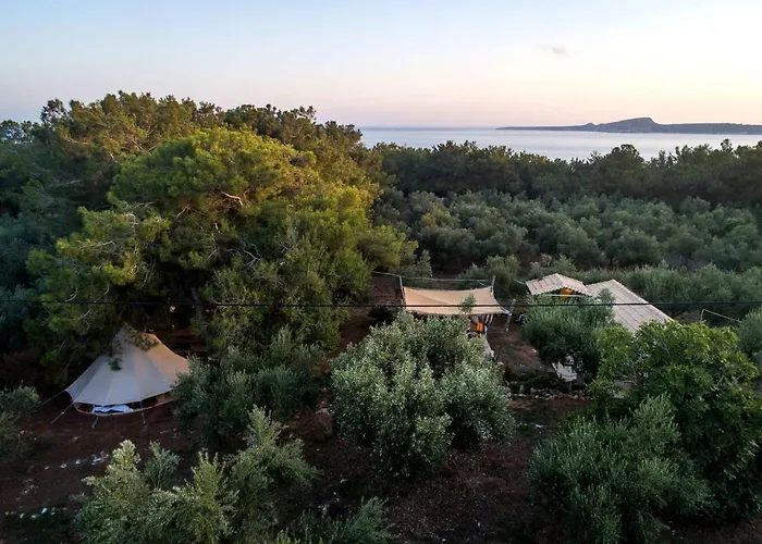 Cocoon Tent In An Olive Grove