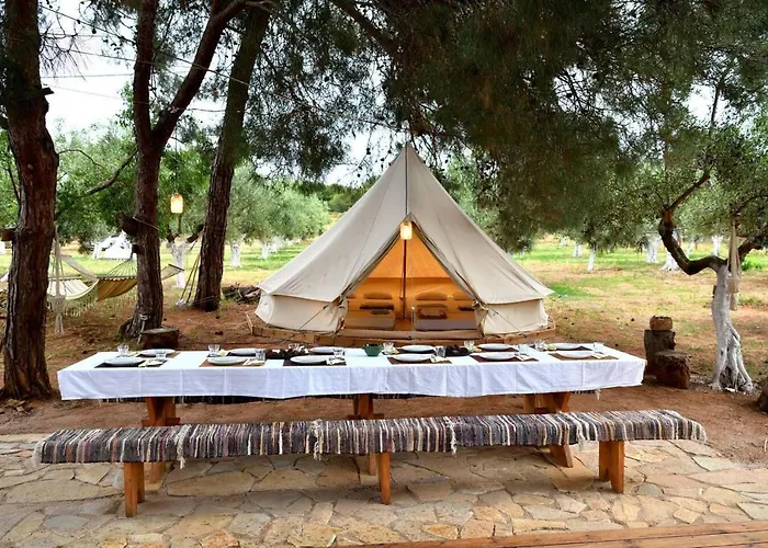 Cocoon Tent In An Olive Grove Marathopoli