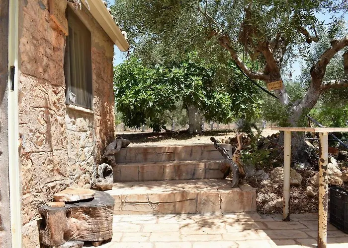 Cocoon Tent In An Olive Grove *