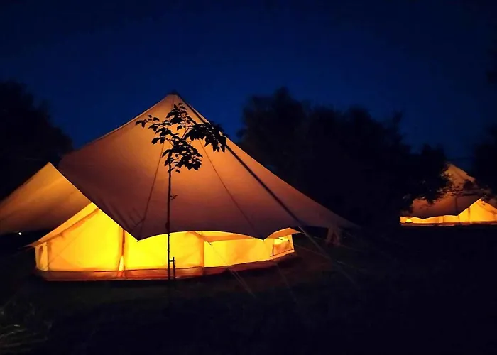 Cocoon Tent In An Olive Grove