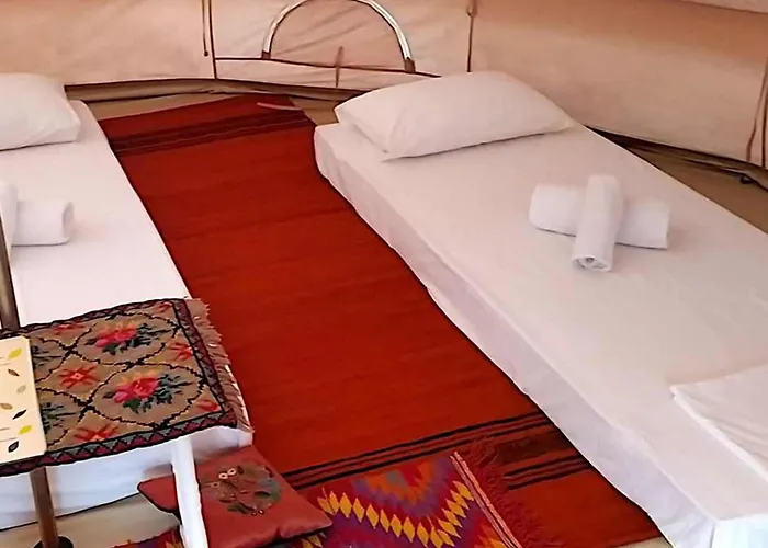 Cocoon Tent In An Olive Grove *