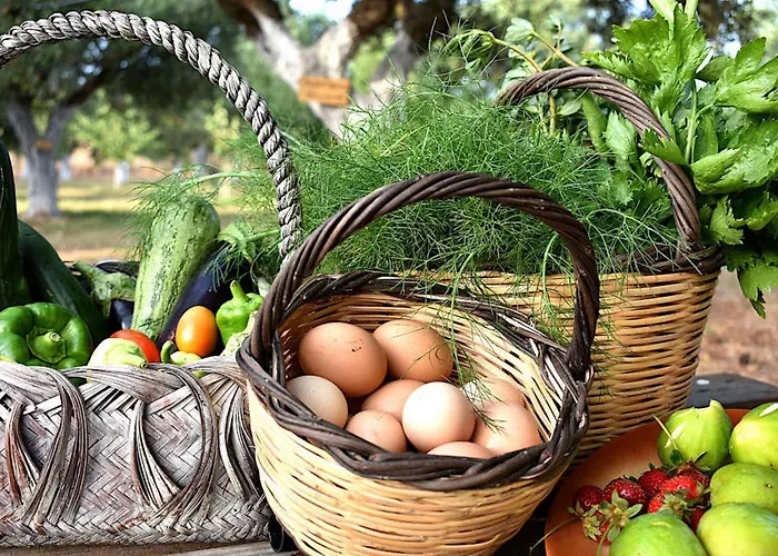 Cocoon Tent In An Olive Grove Nyaraló *
