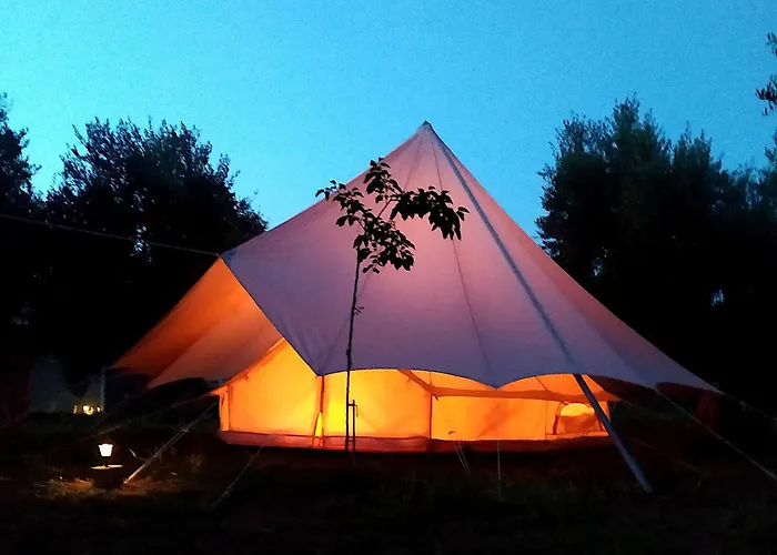 Cocoon Tent In An Olive Grove *