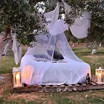 Cocoon Tent In An Olive Grove Holiday home *