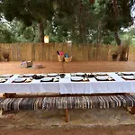 Cocoon Tent In An Olive Grove Holiday home Marathopoli