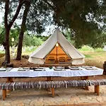 Cocoon Tent In An Olive Grove Marathopoli
