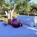 Cocoon Tent In An Olive Grove Marathopoli