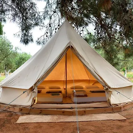 Cocoon Tent In An Olive Grove * Marathopoli