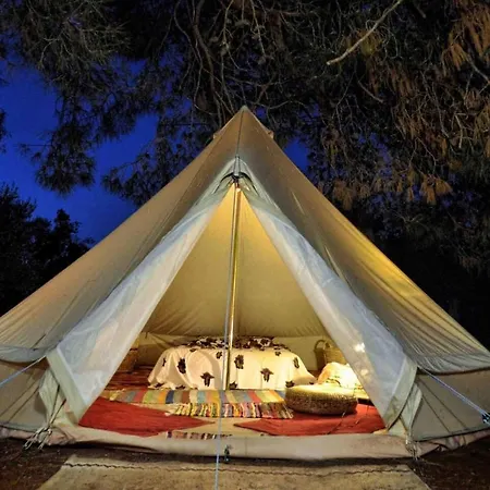 Cocoon Tent In An Olive Grove