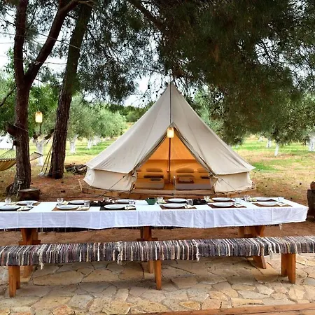 Cocoon Tent In An Olive Grove Marathopoli