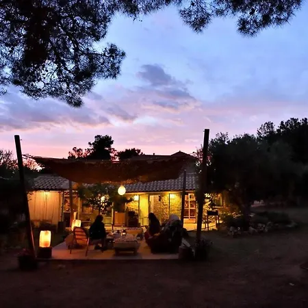 Cocoon Tent In An Olive Grove