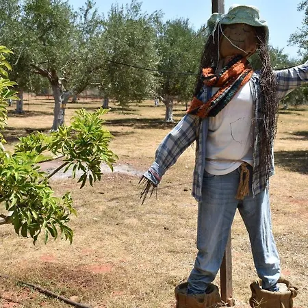 Hébergement de vacances Cocoon Tent In An Olive Grove Marathopoli