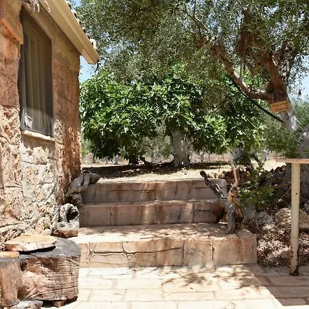 Cocoon Tent In An Olive Grove *