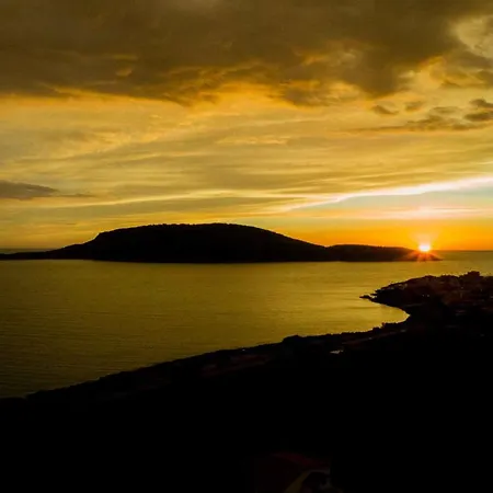 Cocoon Tent In An Olive Grove Marathopoli