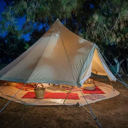 Cocoon Tent In An Olive Grove Marathopoli
