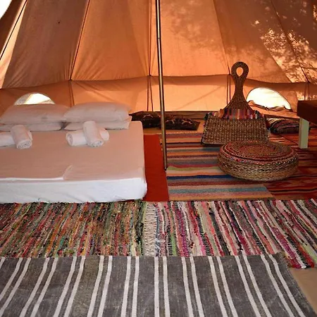 Cocoon Tent In An Olive Grove *