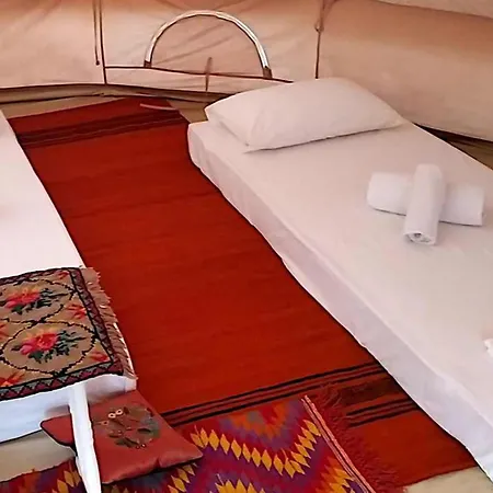 Cocoon Tent In An Olive Grove *