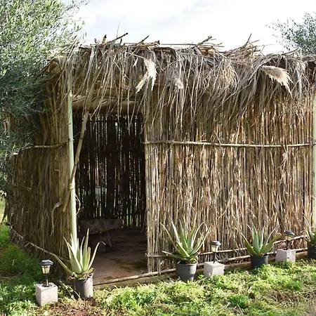 Cocoon Tent In An Olive Grove 펜션 *