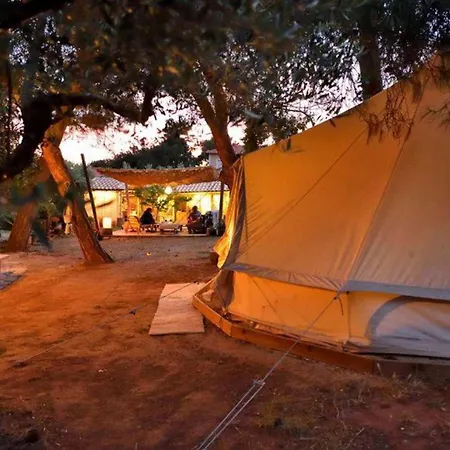Cocoon Tent In An Olive Grove 別荘 マラトポリス