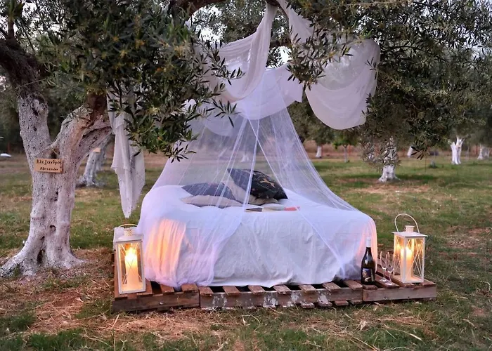 Cocoon Tent In An Olive Grove 펜션 *