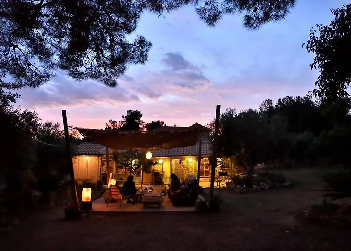 Cocoon Tent In An Olive Grove