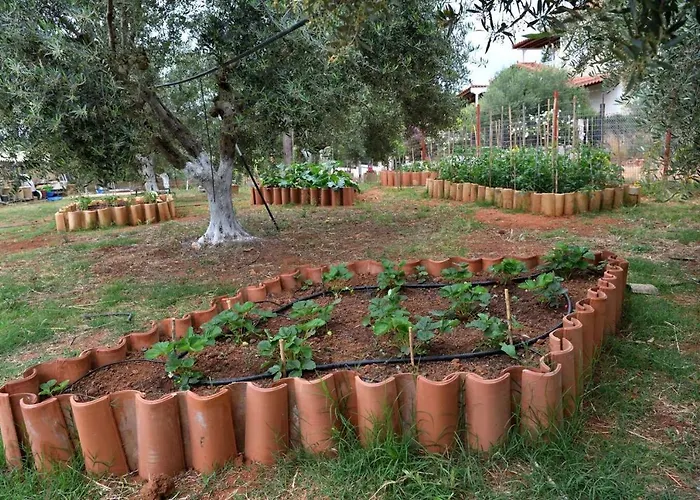 Cocoon Tent In An Olive Grove * 마라쏘폴리