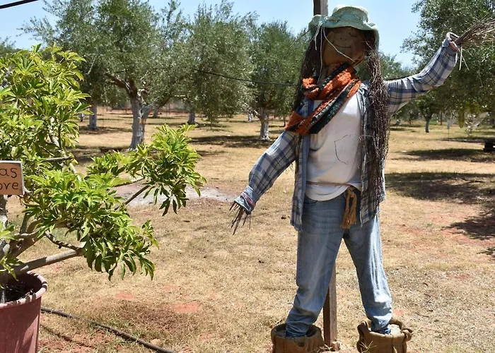 펜션 Cocoon Tent In An Olive Grove 마라쏘폴리
