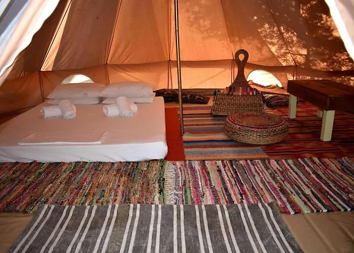 Cocoon Tent In An Olive Grove *