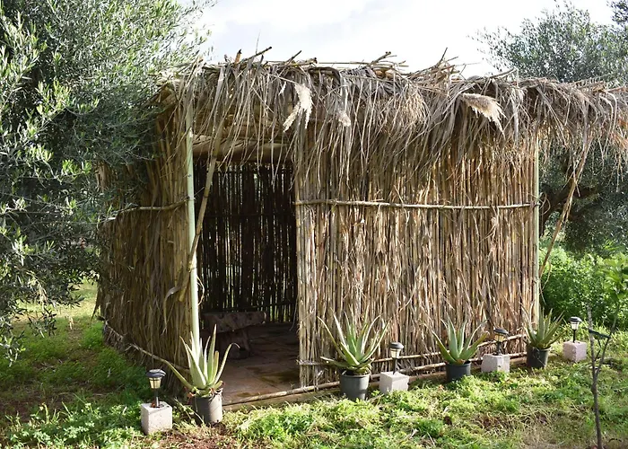Cocoon Tent In An Olive Grove 펜션 *